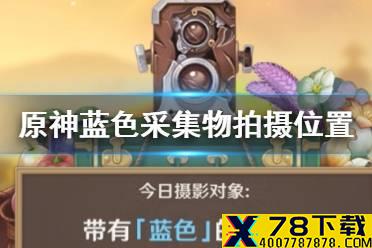 《原神手游》蓝色采集物有哪些 蓝色采集物拍摄位置介绍