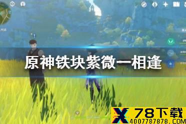 《原神》铁块紫微一相逢怎么完成 铁块紫微相逢任务攻略
