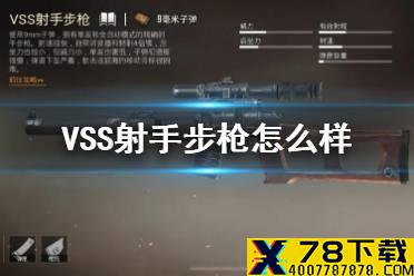 《和平精英》VSS使用攻略 VSS射手步枪怎么样