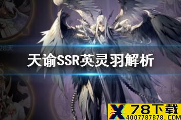 《天谕手游》羽怎么样 SSR英灵羽解析