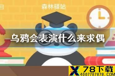 乌鸦会表演什么来求偶 森林驿站2月16日答案