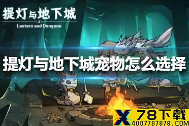 《提灯与地下城》宠物怎么选择 宠物选择攻略