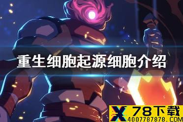 《重生细胞》起源细胞有什么用 起源细胞介绍