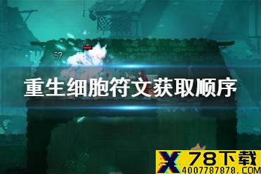《重生细胞》符文获取顺序是什么 符文获取顺序介绍