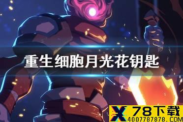 《重生细胞》月光花钥匙有什么用 月光花钥匙攻略