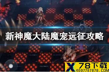 《新神魔大陆》魔宠远征怎么玩 魔宠远征攻略