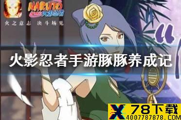 《火影忍者手游》豚豚养成记怎么玩 豚豚养成记攻略