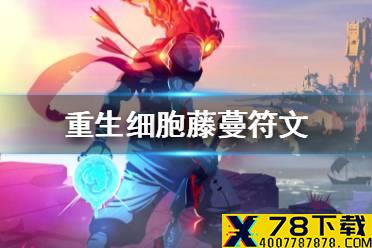 《重生细胞》藤蔓符文怎么获得 藤蔓符文获得攻略