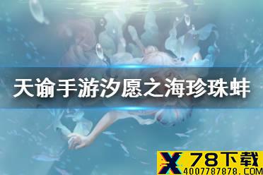 《天谕手游》珍珠蚌位置大全 汐愿之海30个珍珠蚌位置分享