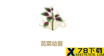 网1