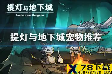 《提灯与地下城》宠物选择哪个好 宠物推荐