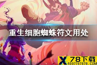 《重生细胞》蜘蛛符文有什么用 蜘蛛符文用处介绍