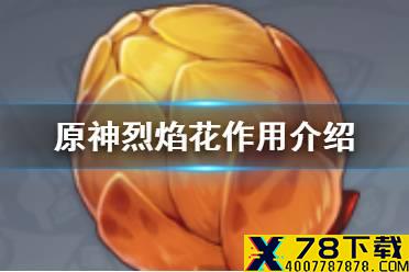 《原神手游》烈焰花有什么用 烈焰花花蕊作用介绍