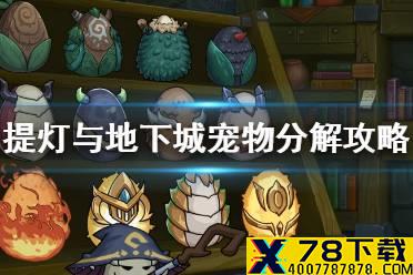 《提灯与地下城》宠物分解值得吗 宠物分解攻略