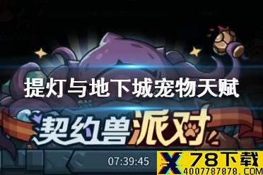 《提灯与地下城》宠物天赋怎么洗 宠物天赋攻略
