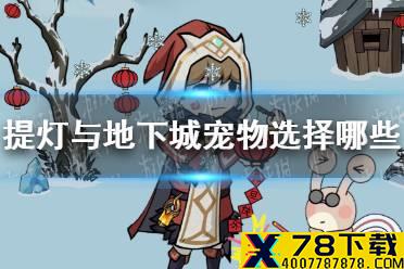 《提灯与地下城》宠物选择哪些 宠物搭配出战推荐