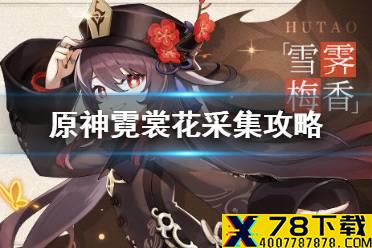 《原神手游》霓裳花在哪 素材霓裳花采集位置