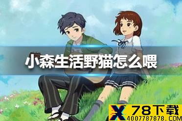 《小森生活》野猫怎么喂 野猫喂食方法