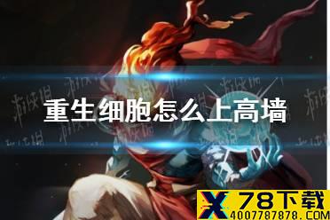 《重生细胞》怎么上高墙 上高墙方法介绍