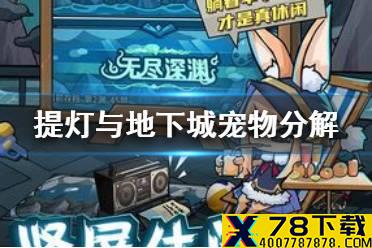 《提灯与地下城》宠物分解返还材料吗 宠物分解技能返还情况