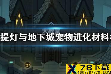 《提灯与地下城》宠物进化材料材料要多少 宠物进化所需材料介绍