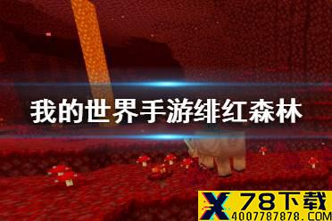 《我的世界手游》下界群系绯红森林 绯红森林有什么用