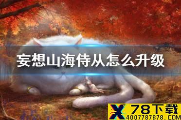 《妄想山海》侍从怎么升级 侍从快速升级方法介绍
