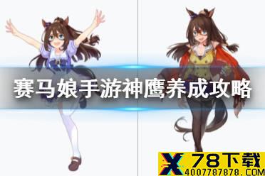 《赛马娘手游》神鹰怎么养 神鹰养成攻略