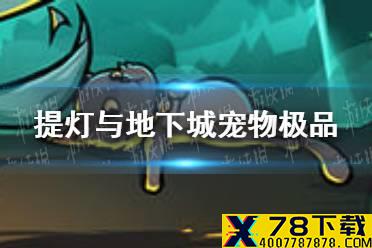 《提灯与地下城》宠物极品怎么刷 宠物极品属性介绍