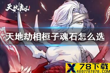 《天地劫》相桓子魂石怎么选 相桓子魂石搭配推荐