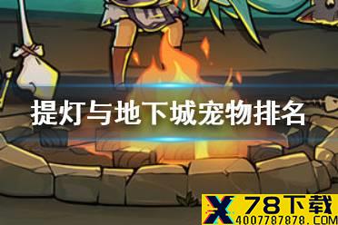 《提灯与地下城》宠物排名一览 宠物什么好