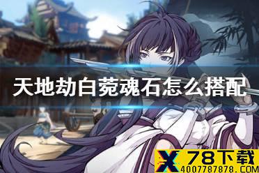 《天地劫》白菀魂石怎么搭配 白菀魂石搭配攻略