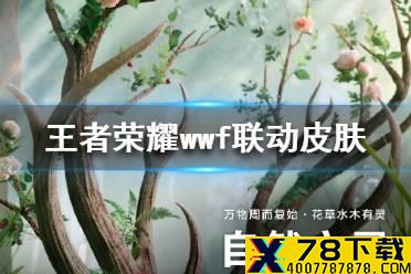 《王者荣耀》wwf联动皮肤是谁的 wwf联动皮肤猜测