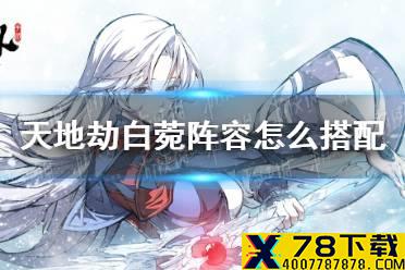 《天地劫》白菀阵容怎么搭配 白菀阵容搭配攻略