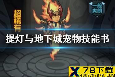 《提灯与地下城》宠物技能书选择 宠物技能书搭配攻略