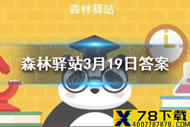 下列关于香鼬的描述正确的是 森林驿站3月19日答案