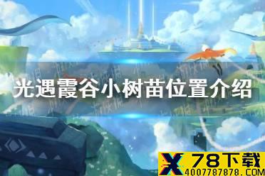 《光遇》霞谷小树苗在哪 霞谷小树苗位置介绍