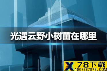 《光遇》云野小树苗在哪里 云野小树苗位置介绍