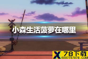 《小森生活》菠萝在哪里 菠萝位置介绍