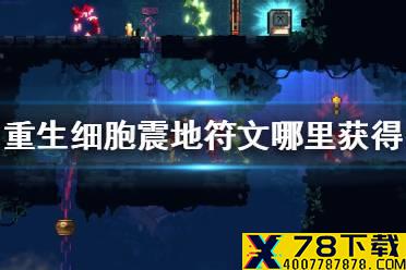 《重生细胞》震地符文在哪里获得 震地符文作用介绍