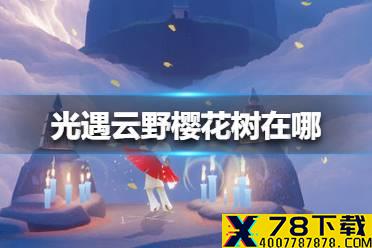 《光遇》云野樱花树在哪 云野樱花树位置介绍