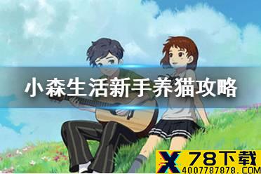 《小森生活》新手怎么养猫 新手养猫攻略