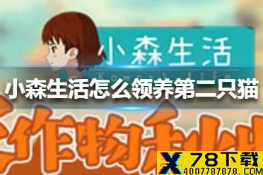 《小森生活》怎么领养第二只猫 领养第二只猫方法