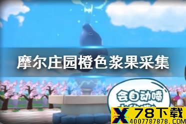 《摩尔庄园手游》橙色浆果在哪采 橙色浆果采集地点推荐