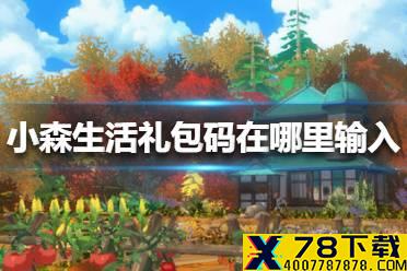 《小森生活》礼包码在哪里输入 礼包码输入方法