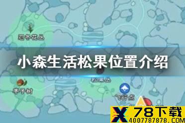 《小森生活》松果在哪里 松果位置介绍