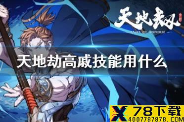 《天地劫》高戚技能用什么 高戚技能推荐