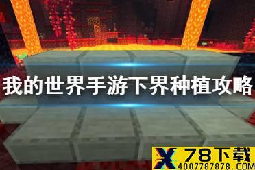 《我的世界手游》怎么在下界种植 下界种植攻略