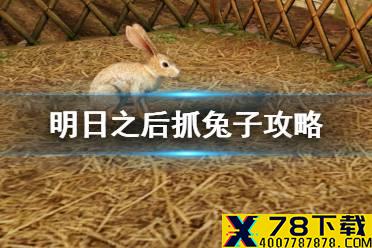 《明日之后》兔子有什么用 兔子怎么养饲养圈怎么做