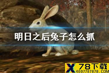 《明日之后》兔子怎么抓 兔子一天能抓几只